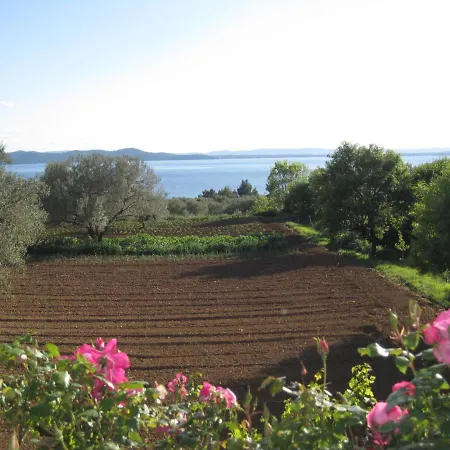 House With A Parking Space Kozino, Zadar - 14464 בית נופש *